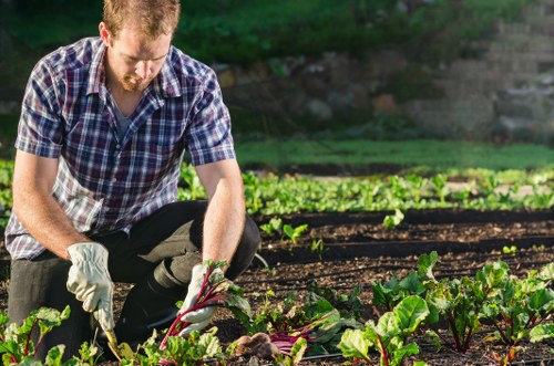 Waste removal and site clearance during landscaping works