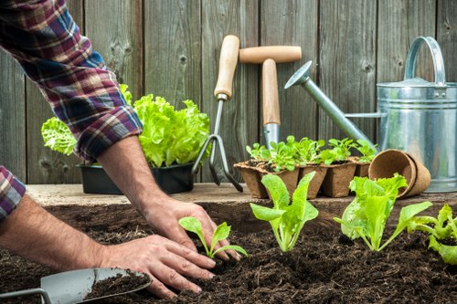 Image symbolising screen-reader friendly landscape service pages