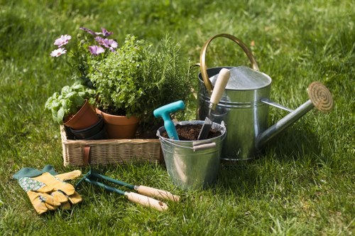 Garden makeover ideas for a Shortlands home with improved planting and tidy borders