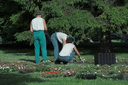 Visual for readable landscaping information with accessibility focus