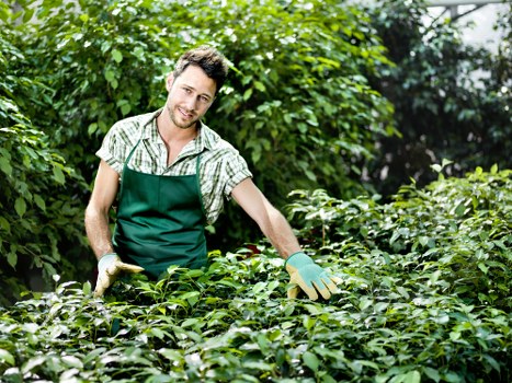 Finished patio and planting scheme in a Shortlands outdoor space